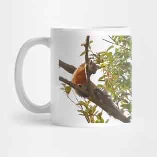 Variegated Squirrel Mug